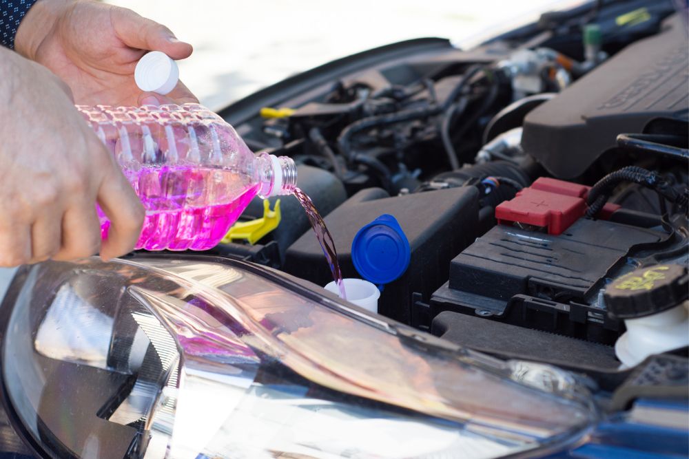 Get the Most out of Your Vehicle with Auto Filter and Fluid Service